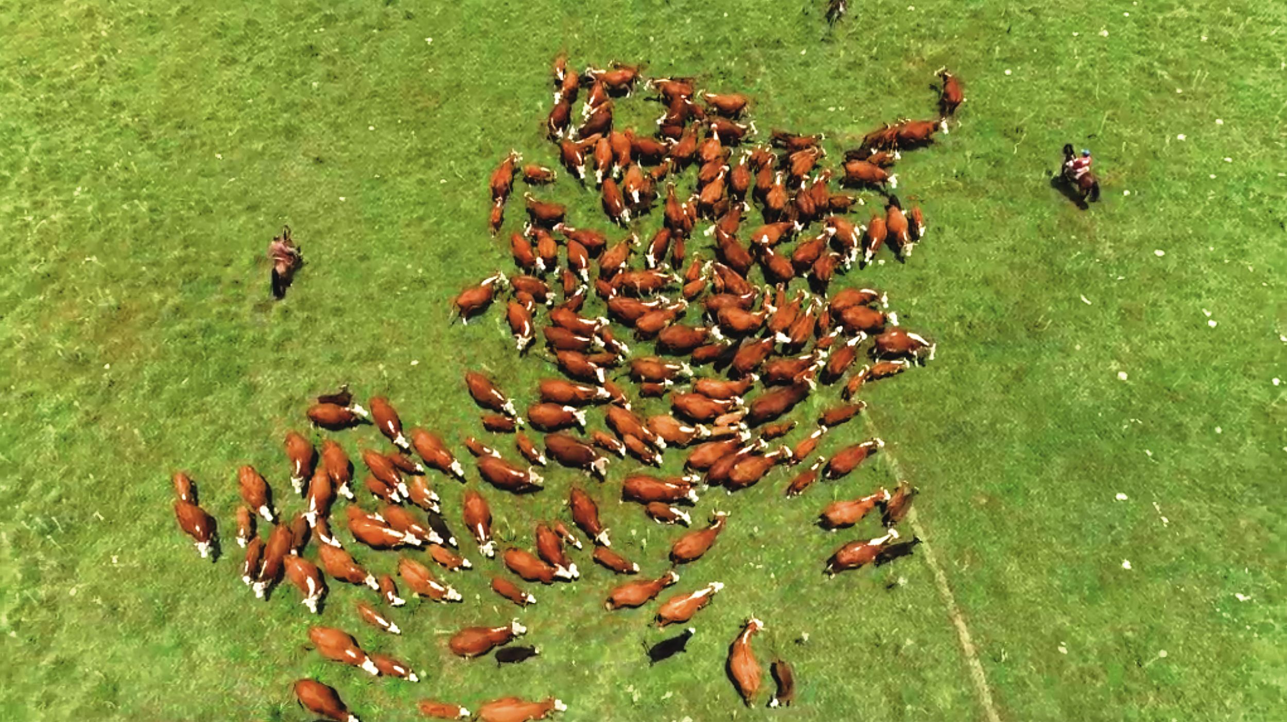 Rodeo Uruguay